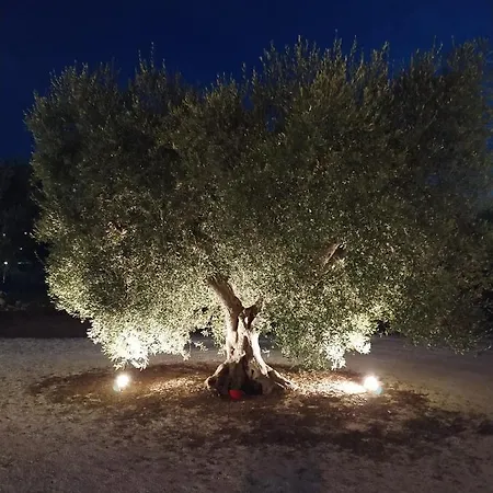 Elisa Homestay Alberobello